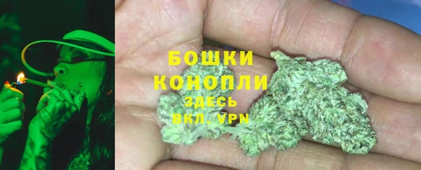 дмт Горнозаводск