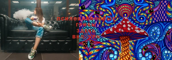 прущая мука Горняк