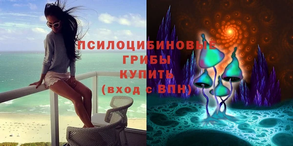 прущая мука Горняк