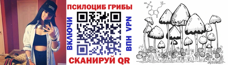 Купить  Орлов  Псилоцибиновые грибы GOLDEN TEACHER 